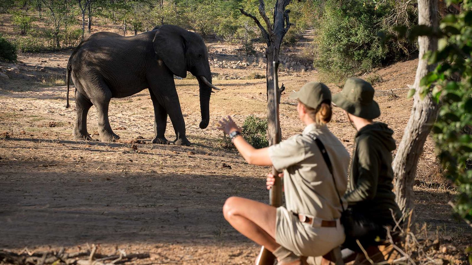 walkingsafarikrugernationalpark